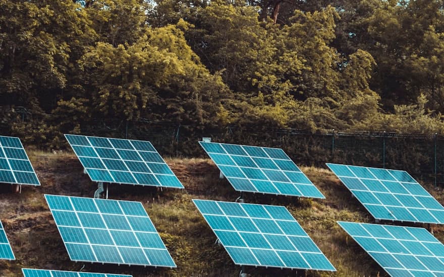 Paneles solares sobre una ladera con vegetación